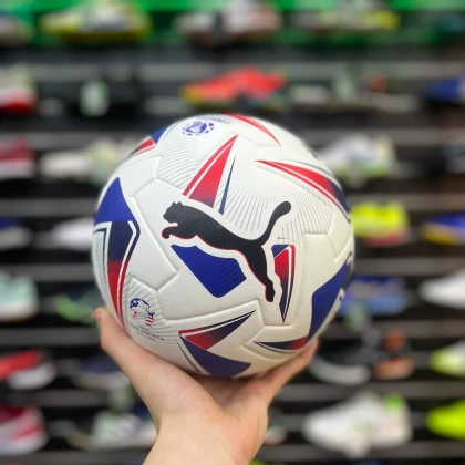 Мяч Puma Conmebol Copa America 24