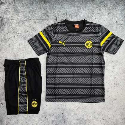 Футбольная форма Borussia Training grey