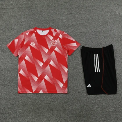 Футбольная форма Bayern Munich Training red/black