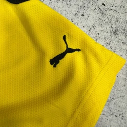 Шорты игровые Borussia yellow #3